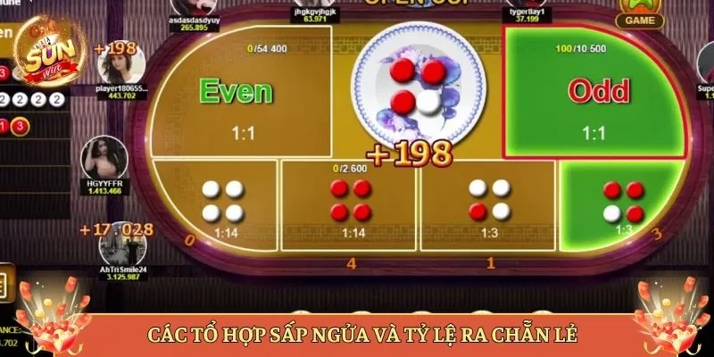 Các Tổ Hợp Sấp Ngửa Và Tỷ Lệ Ra Chẵn Lẻ